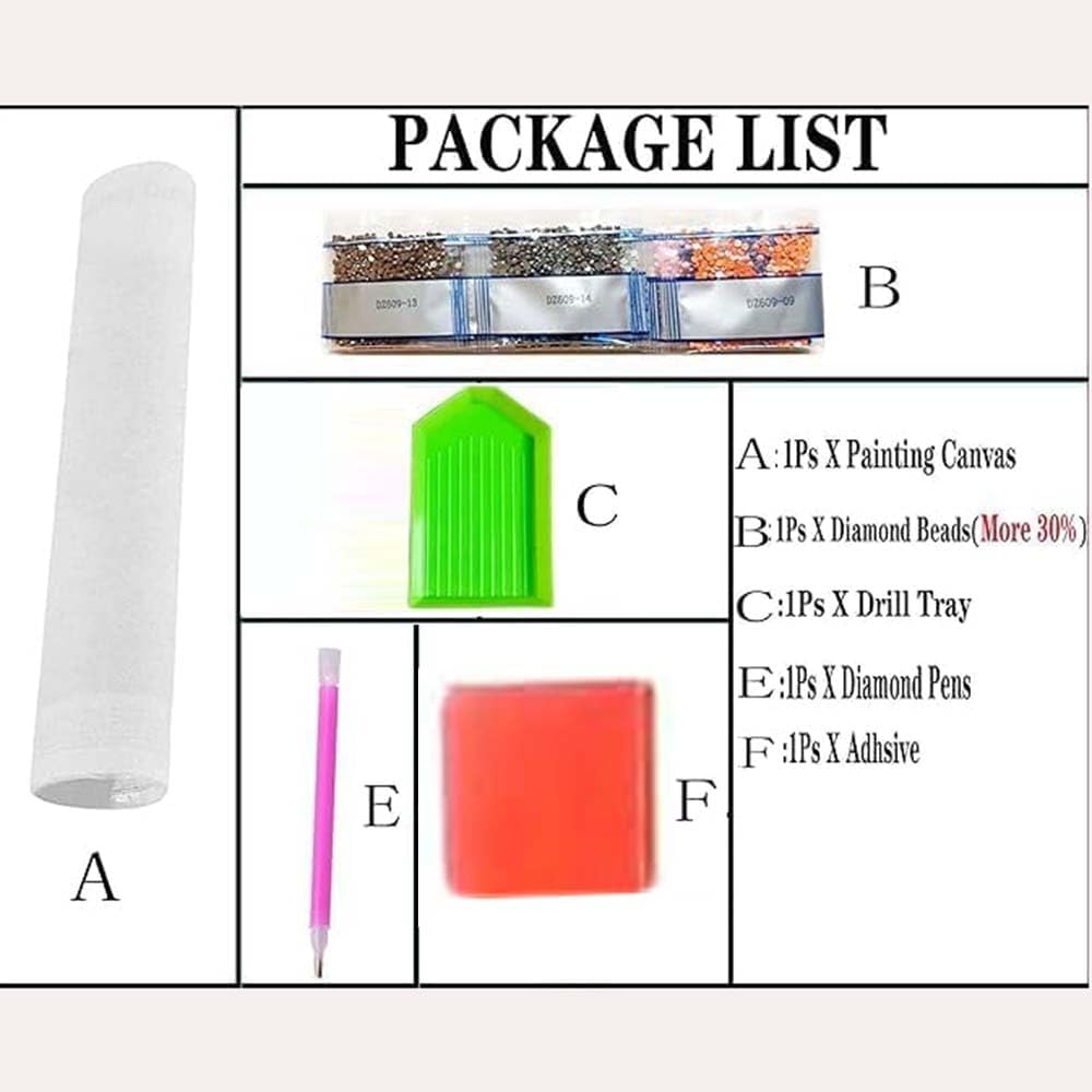Kits de Peinture Diamant Tortu - Art Craft Kit avis et prix